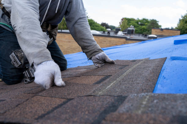 Best Local Roofing Companies  in Lake Camelot, WI