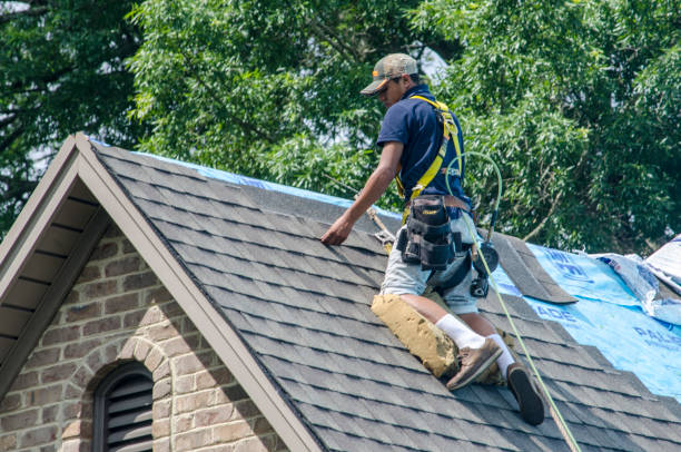 Best Roof Leak Repair  in Lake Camelot, WI